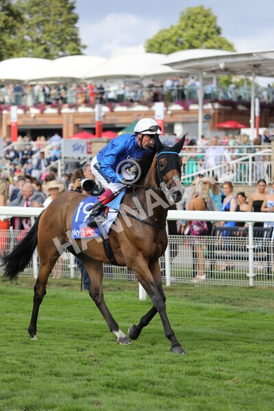 yr20082022r4-213 - Race 4 3.35pm Sky Bet Ebor