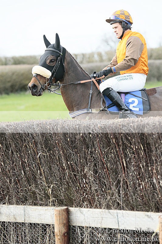 PtP 230319 218 - VWH Hunt Siddington Point-to-Point Racing 23/03/19