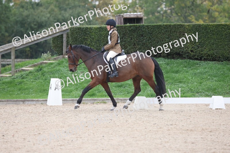 20251011-0486 - Class 4 - Novice 2