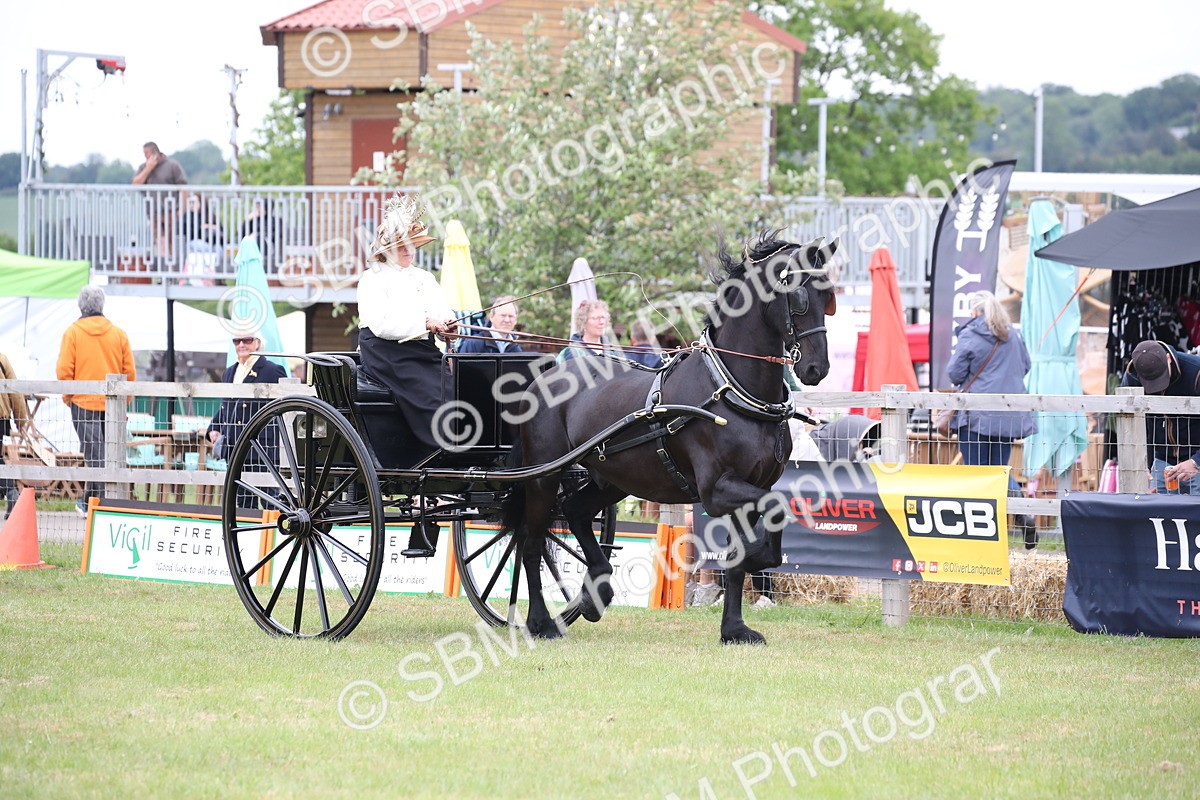 SBM_05734 - Class 12-15 - HOYS Private Driving