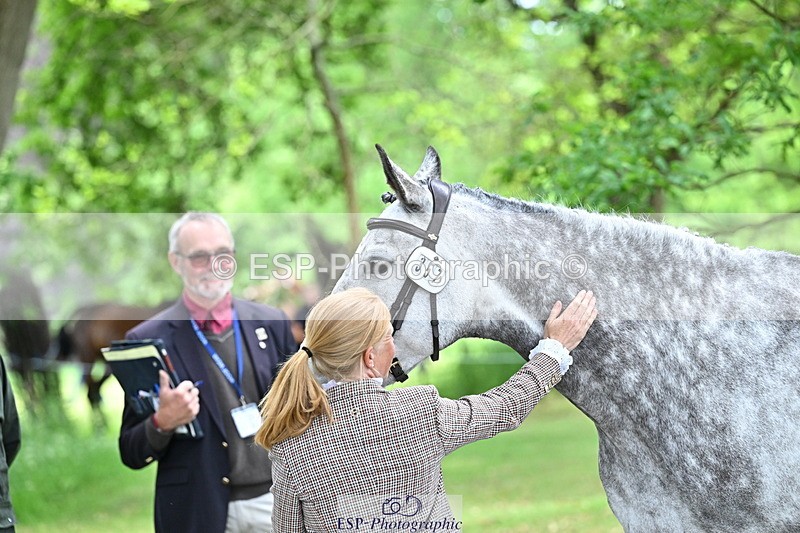 250521A-151951-00427 - B-357-Rosalind.Canter-ARMSCOTE.EXPLORER