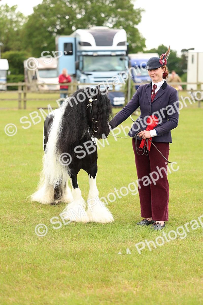 SBM_06351 - Class 39-41 TGCA In Hand and Ridden