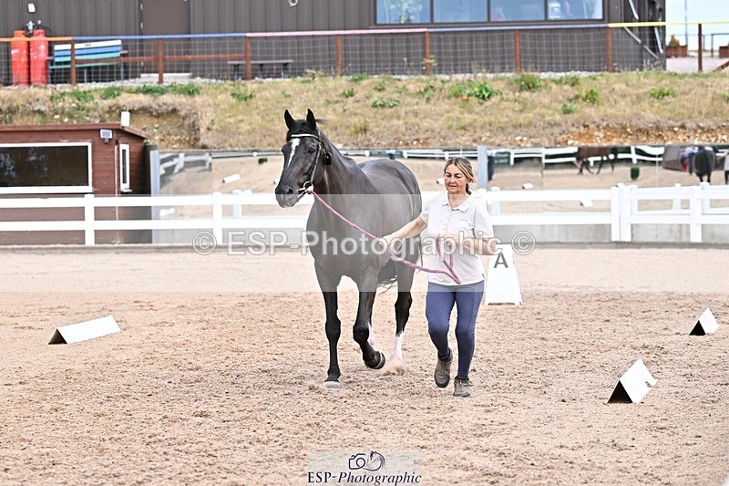 250716-135005-00687 - Trot Up 1.30 to 2.30