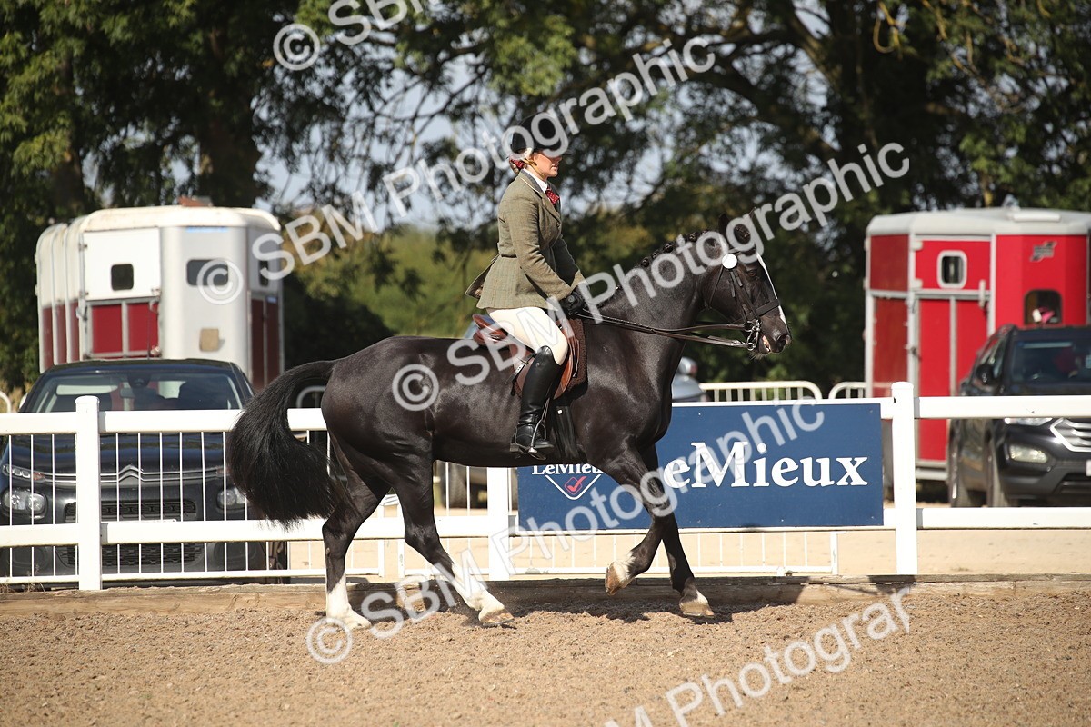 SBM_22906 - Class 603 - 2026 - Ridden Pre Vet