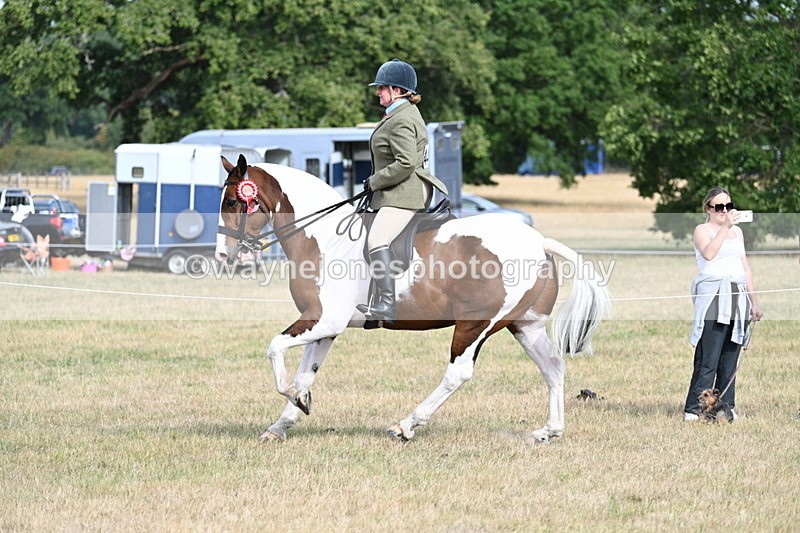 WJ7_7788 - Ridden Championship