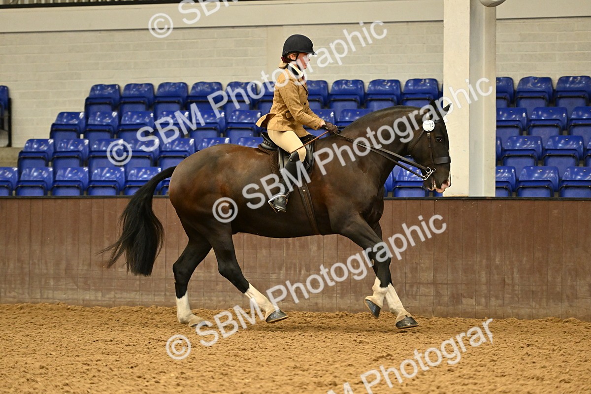 SBM_002046 - Class 21 - BSHA Ridden Show Cob
