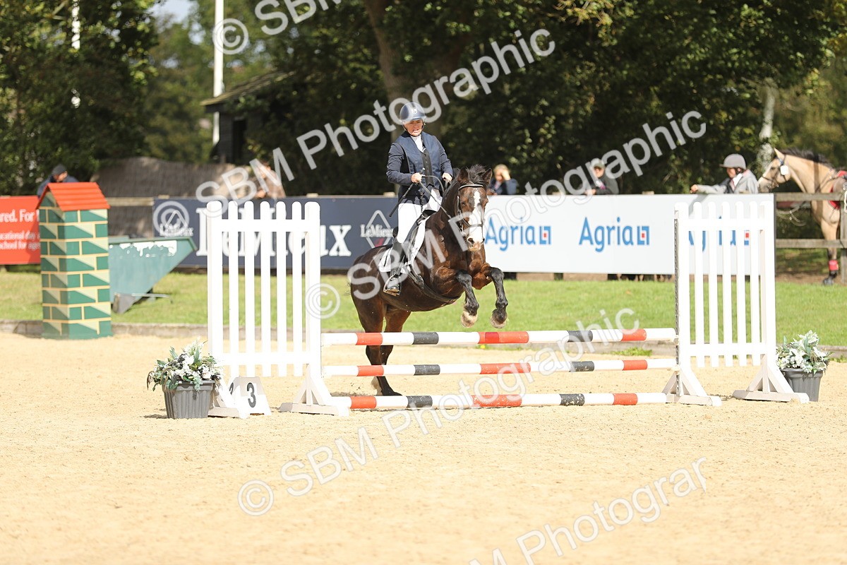 SBM_06475 - J29 - Senior Horse & Pony 65cm Championship