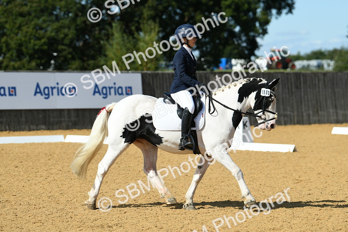 SBM_22689 - D13 - Grand Tour Championship - Prelim 12