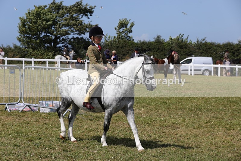 1X9A5327 - Class 37: NPS M&M First Ridden