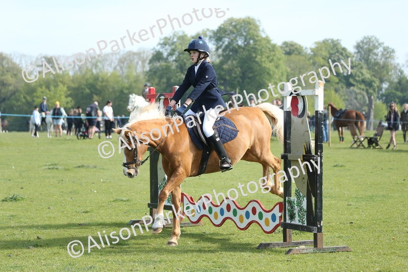 20260426-0160 - Class 13 - Rookie Jumping 50cm