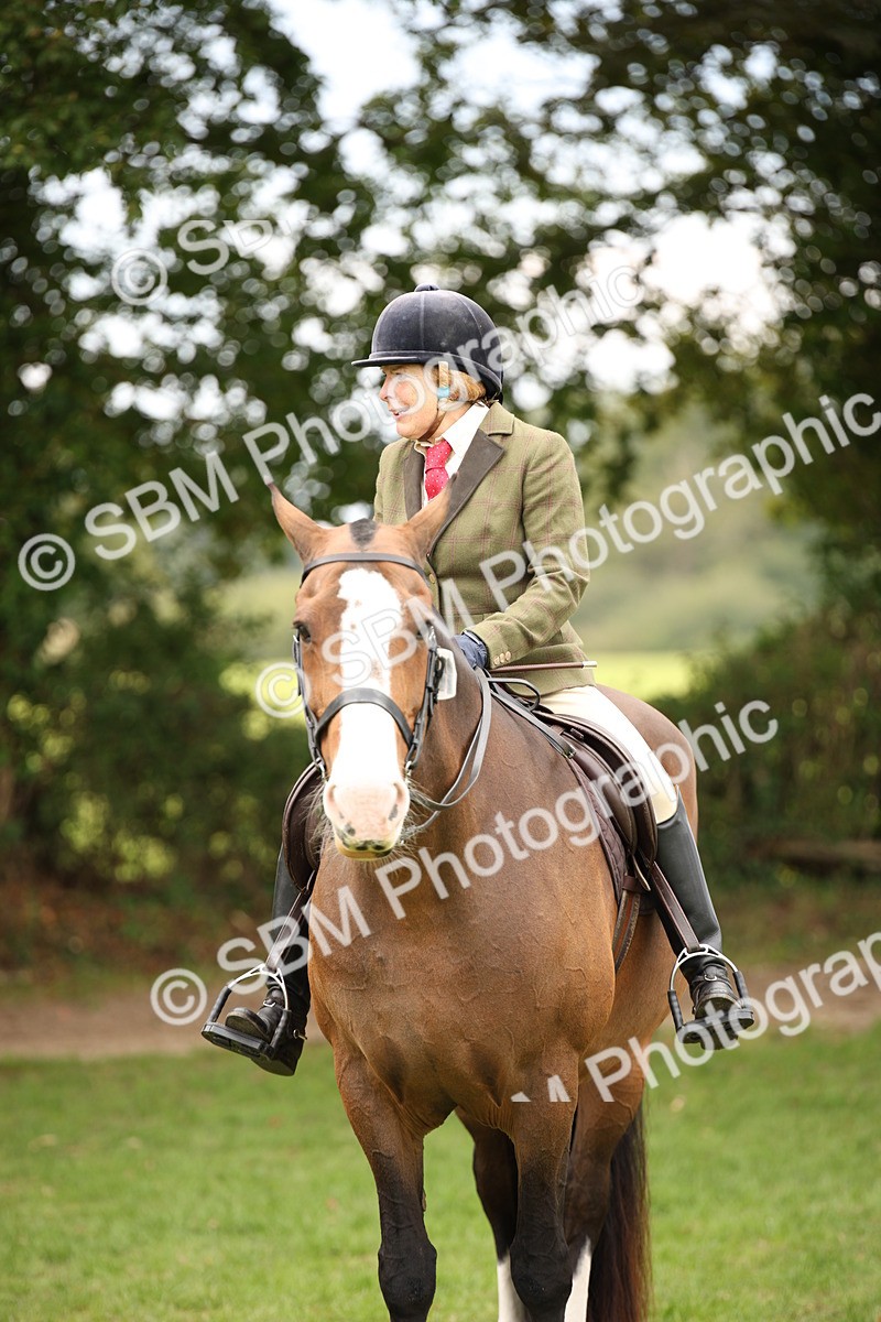 SBM_72396 - S67 - Show Cob Ridden