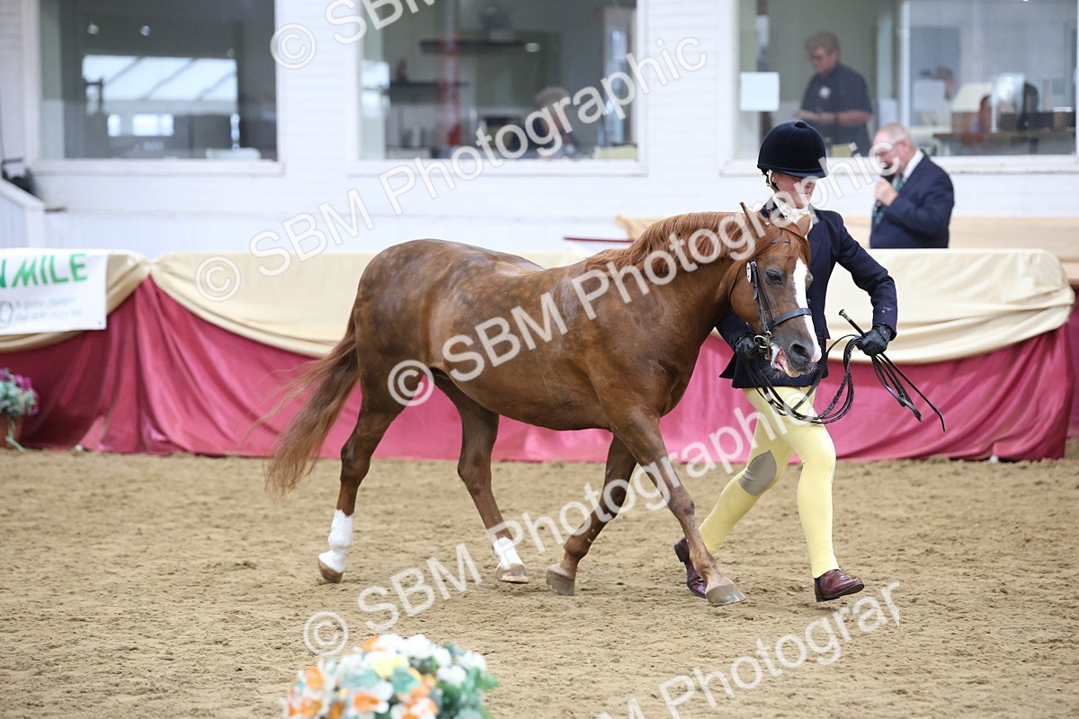 SBM_23606 - Class 904 - Supreme Final - Ridden Diamond