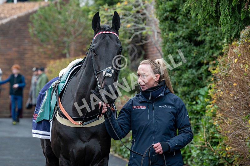 161125-Race 6-Eclat De Marvel-1853 - Race 6