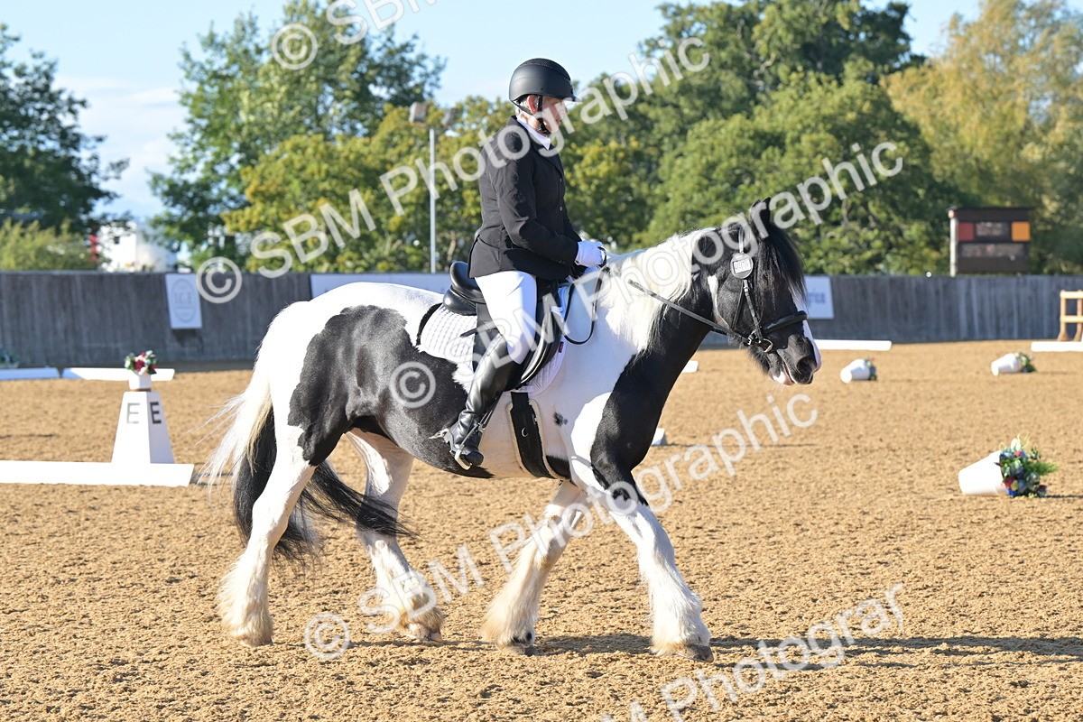 SBM_13027 - D3 - Small Tour Championship Intro 3