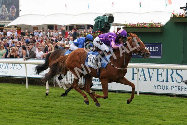 yr11062022r2-84 - Race 2 2.00pm Queen Mother's Cup