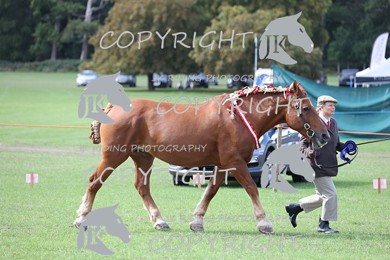 APP_3345 - Class 4 Veterans