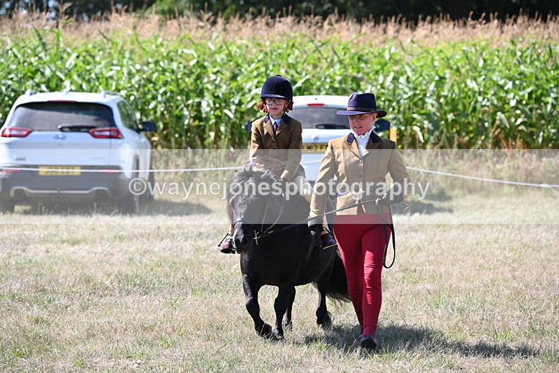 WJ6_8110 - Class 36 Lead Rein