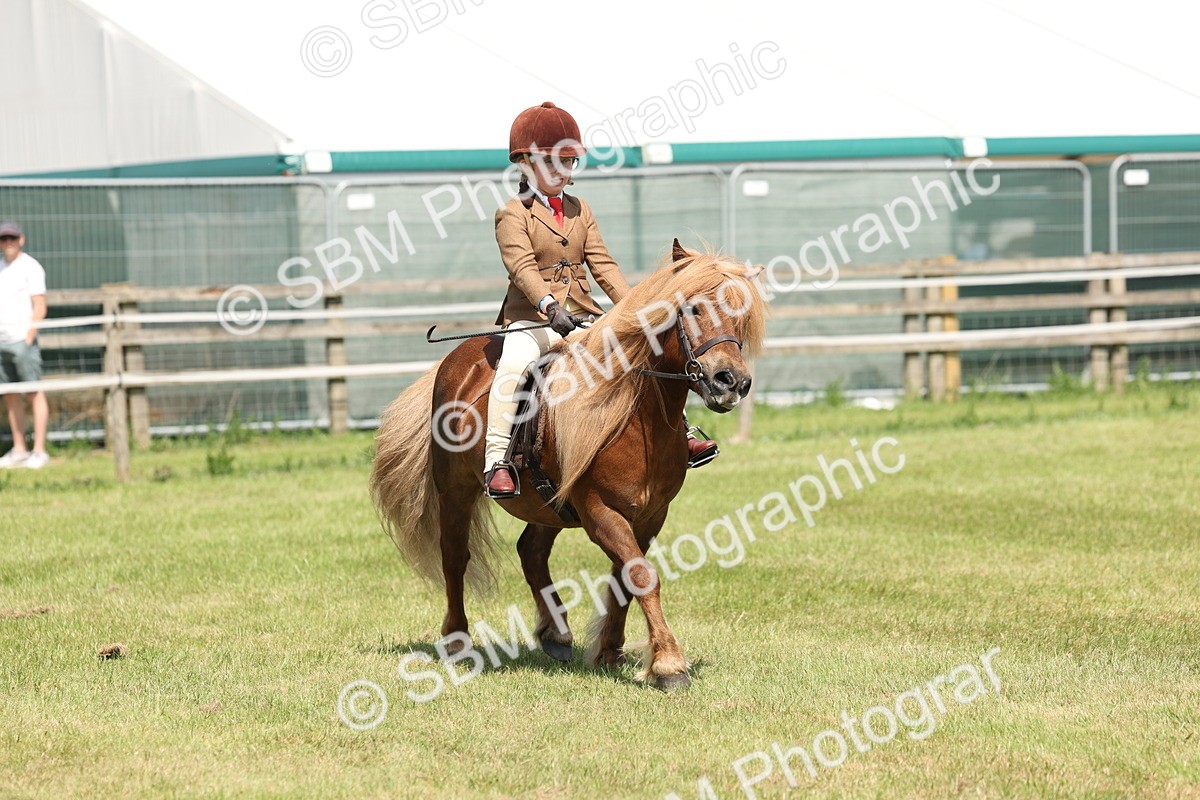 SBM_05343 - Class 24-25 - Mountain & Moorland In Hand Lead Rein and First Ridden