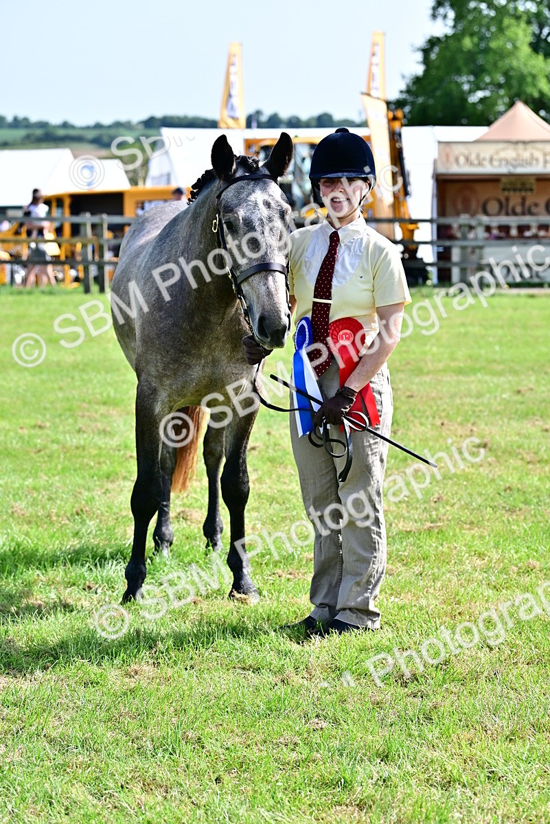SBM_03363 - Class 50 - 54 Light Horse Breeding