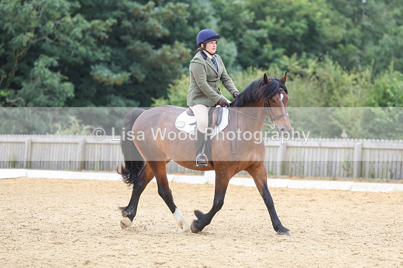 3E7A5210 - Class 2: Intro 4 2024 section B