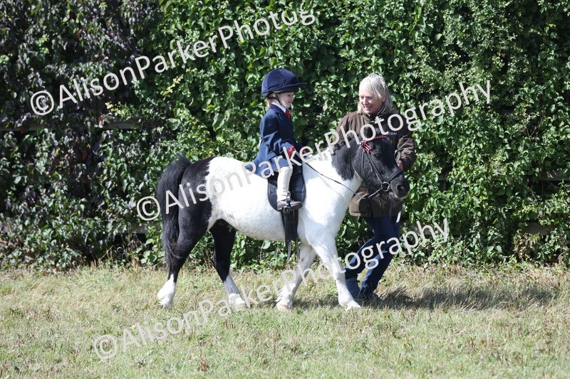 20250831-2637 - Class 17 - Lead Rein Pony