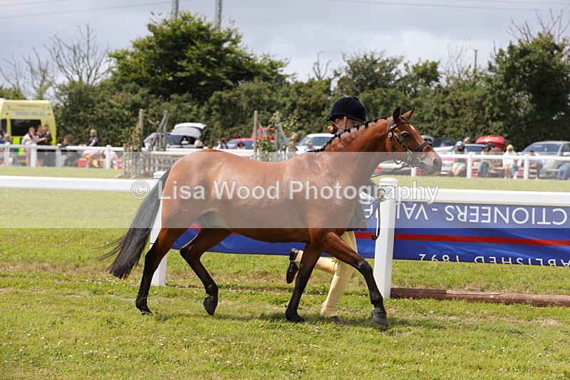 1X9A4724 - Class 35: Veteran In Hand