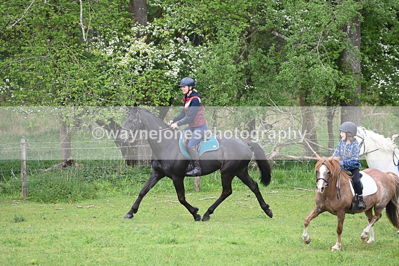 WJ6_2992 - A Camera