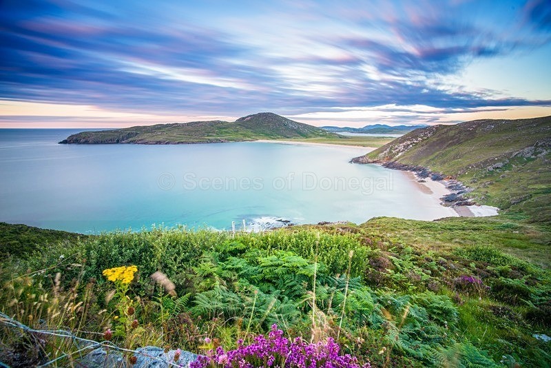 DSC_7340-Edit-2 - Tranarossan