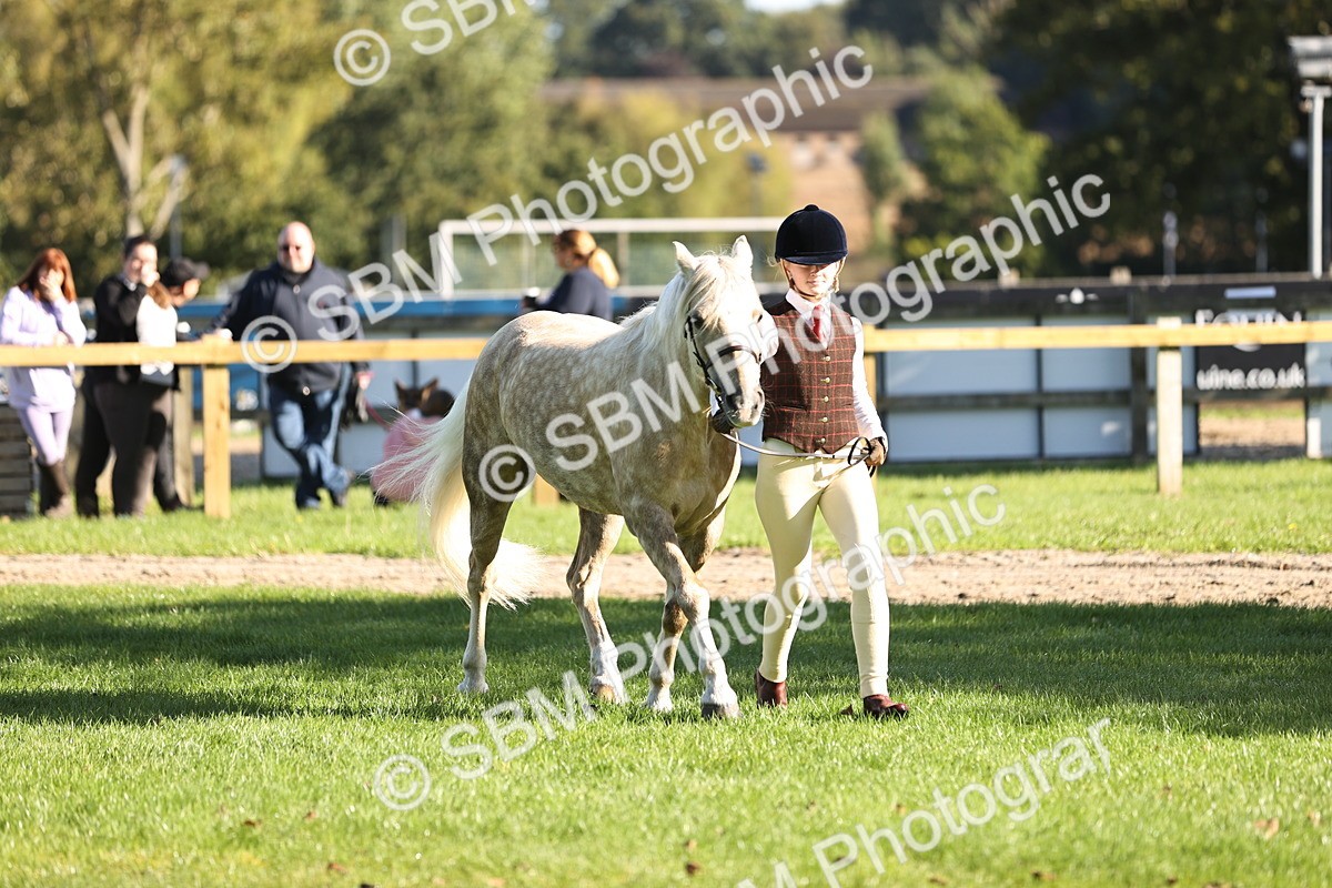 SBM_15897 - S1 - TSR in Hand Horse & Pony Showing