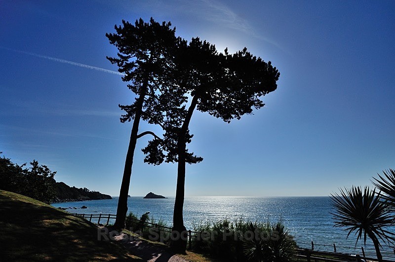 Early morning at Meadfoot - Meadfoot Beach Torquay