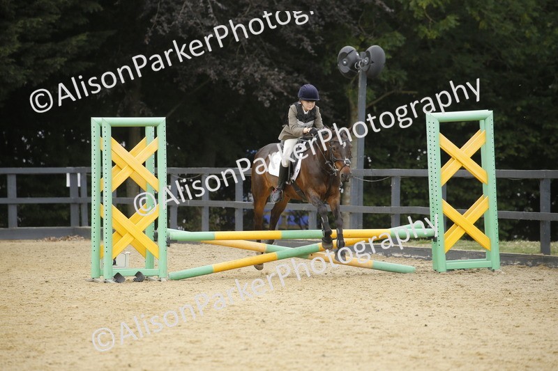 20250622-5965 - 60cm