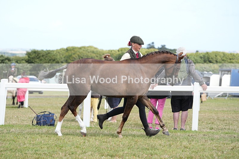 DSC07417 - Class 70: NPS SHP 4 years and over