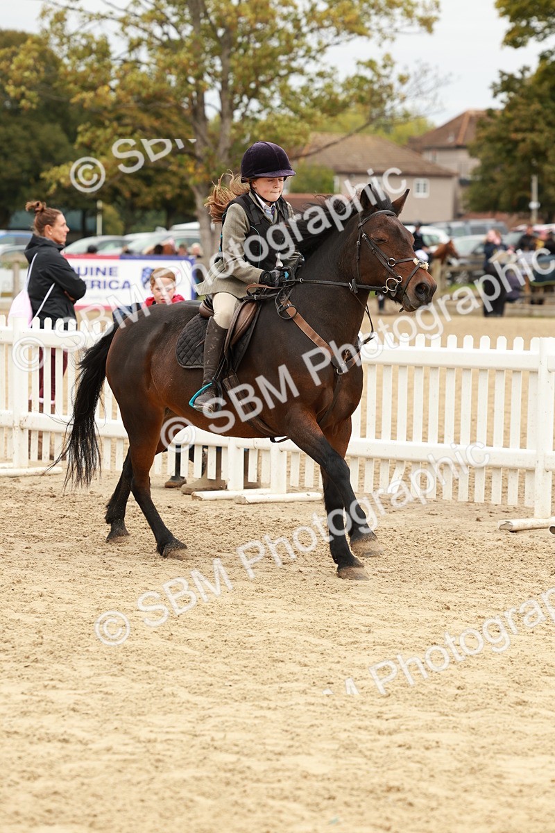SBM_66889 - J13 - Junior Pony 60cm Championship