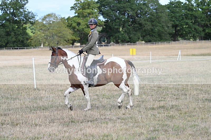 WJ7_6871 - Class 14 Ridden Coloured