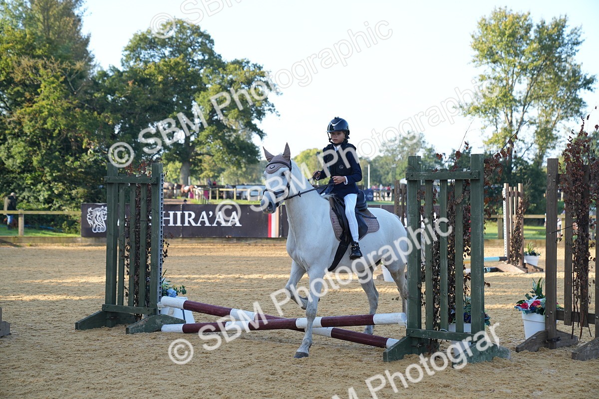 SBM_59005 - J63 - Minis Clear Round 30cm 40cm