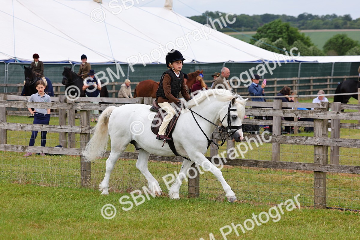 SBM_08475 - Class 42-43 - LIHS BSPS Heritage Working Sports Pony
