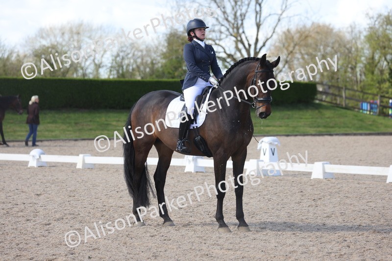 20260405-0612 - Class 7 - Medium 5