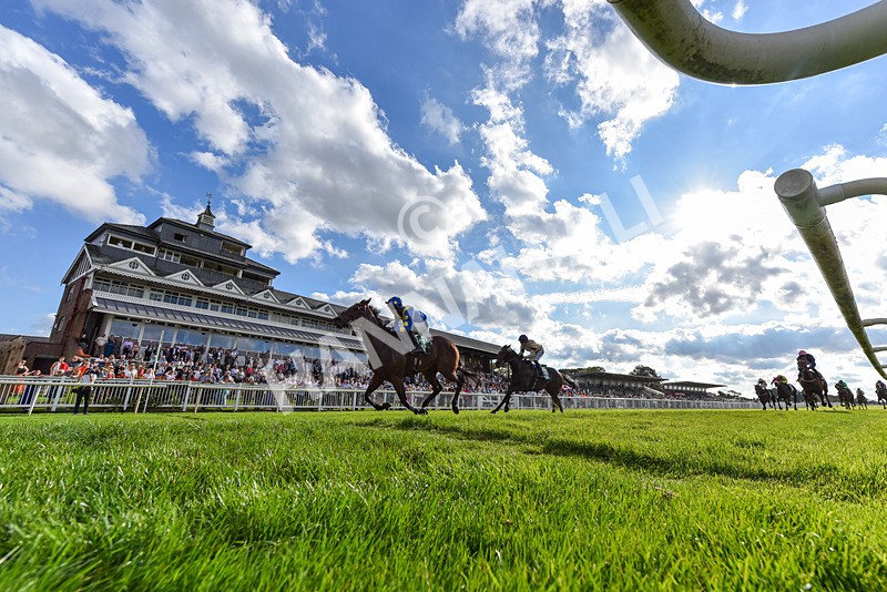 140926-Race 5-Mo Anam Chara-2-2 - Race 5 4.21pm decronhorsecare.co.uk Handicap