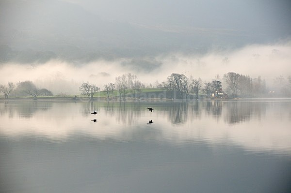 lll0133 - North Lakes