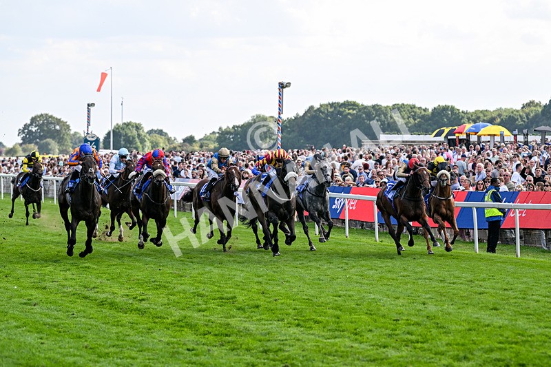 220826-Race 5-Sondad-1073 - Race 5 16.10pm Sky Bet Constantine Handicap