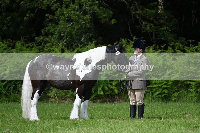 WJ7_1154 - Class 11 Condition & Turnout