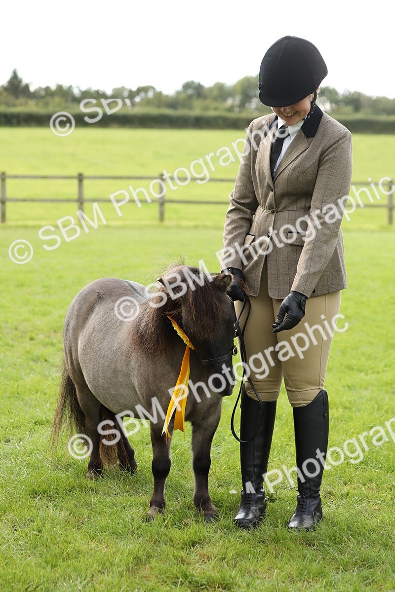 SBM_62853 - S46 - Mountain & Moorland In Hand Small Breeds