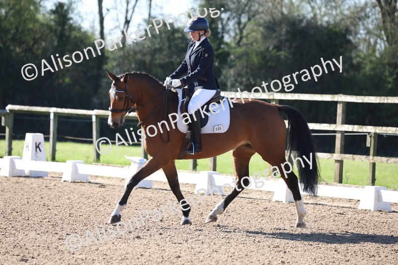 20260318-0090 - Class 2 - Intro 4