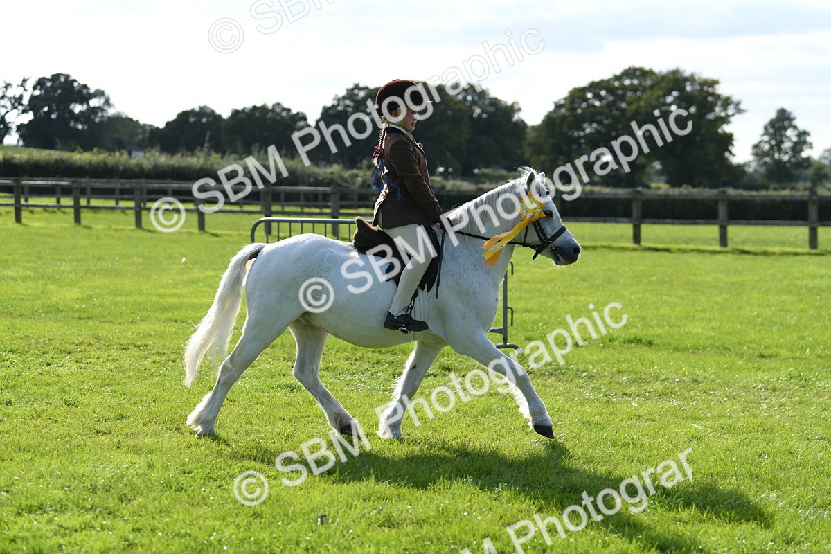 SBM_50524 - S21 - Novice & Newcomers 1st Ridden Pony
