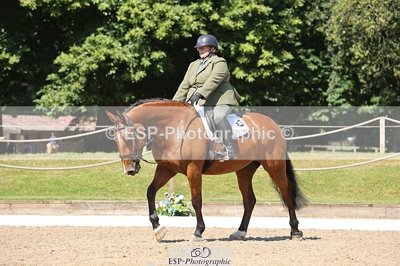 240719-105255-00805 - 169-Marion_Eaves-Indigo_Queen_of_Hearts