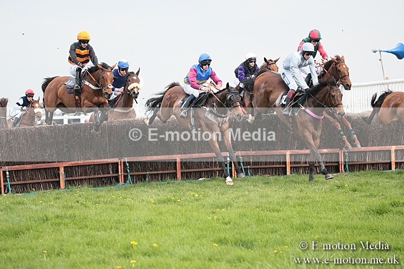 PtP 210418 335 - South & West Wilts Point-to-Point Larkhill 21/04/18
