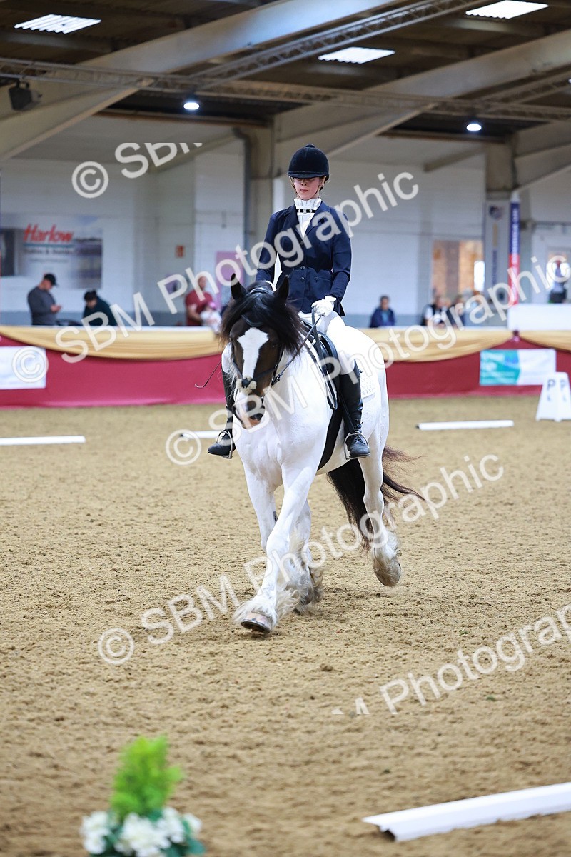 SBM_06628 - Class 61 - Dressage to Music