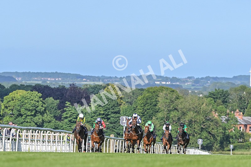 180624-Race 1-Paps Turf-8100 - Race 1