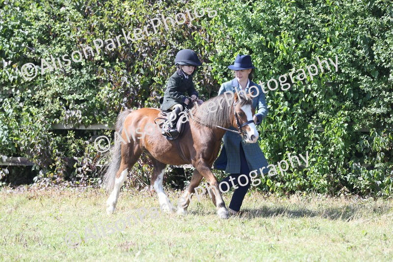 20250831-2609 - Class 17 - Lead Rein Pony