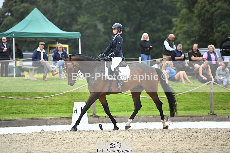 230812-124453-04203 - Cls 6 Novice Silver 12.10 to End